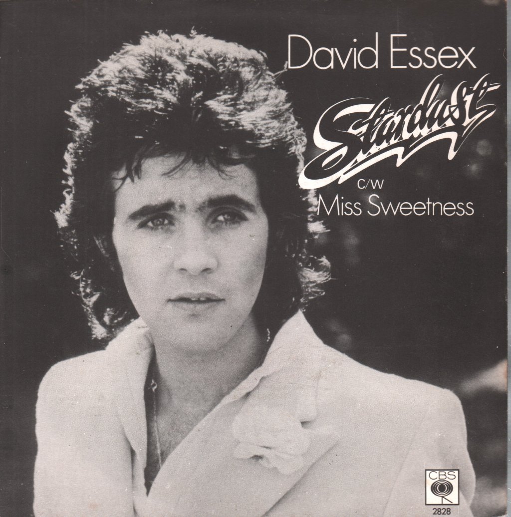 David Essex Stardust Vinyl Records Lp Cd On Cdandlp